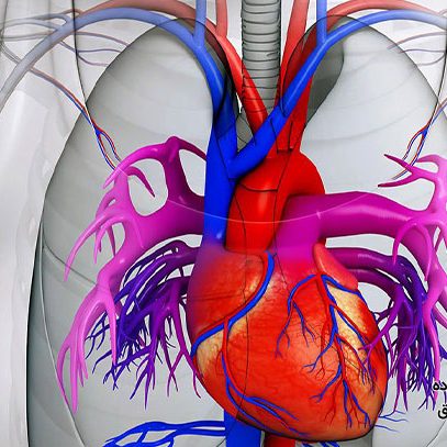 خطرات افتادگی دریچه میترال