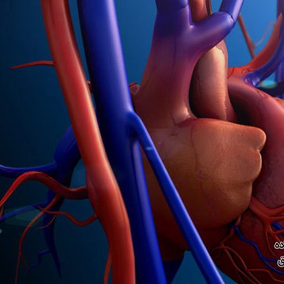 انواع بیماری های دریچه قلب